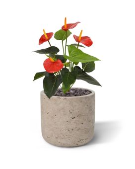 Anthurium kunstplant 40cm - rood