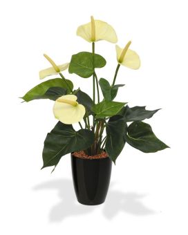 Anthurium kunstplant 40cm - crème in 10cm kweekpot