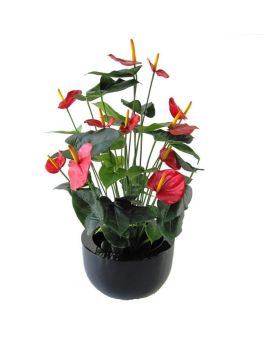Anthurium deluxe kunstplant 80cm - rood