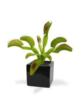 Kunst Venusplant Boeket 20 cm
