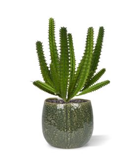 Euphorbia mini kunst Cactus 20cm