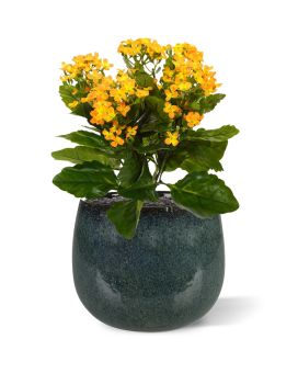 Kalanchoe kunstplant 30cm - oranje