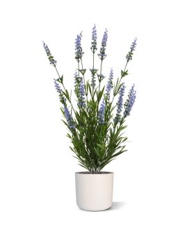 Lavendel kunstplant 50cm - blauw - UV bestendig