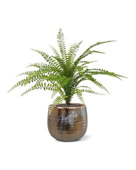 Asplenium Varen kunstplant 45cm