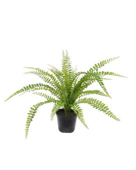 Asplenium Varen kunstplant 45cm