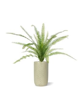 Asplenium Varen kunstplant 75 cm in 12cm pot