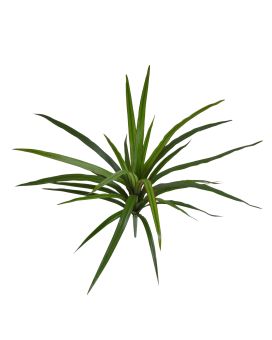 Draceana Marginata Kunstplant 40cm