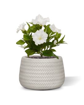 Petunia kunstboeket 25 cm creme