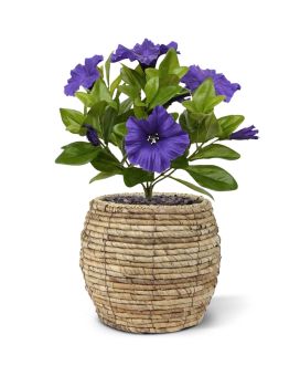 Petunia Kunstboeket 25 cm paars