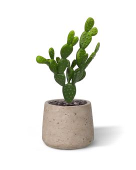 Opuntia kunst Cactus 30cm - groen