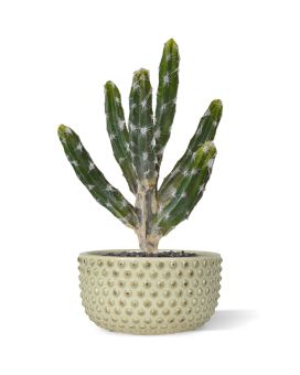 Tetragonus kunst Cactus 35cm - groen