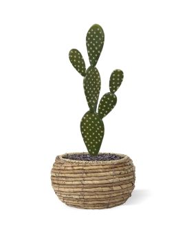 Opuntia kunst Cactus 40cm