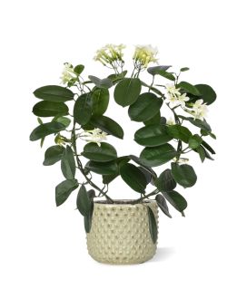 Stephanotis kunstplant 40cm