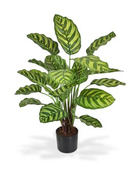 Calathea Makoyana kunstplant 60cm