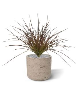 Kunst Grasplant Wide 40cm - Burgundy