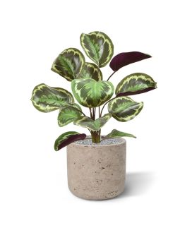 Calathea Ornata kunstboeket 45 cm