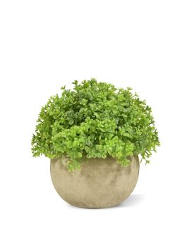 Mini Buxus kunstplant in pot 14cm - groen