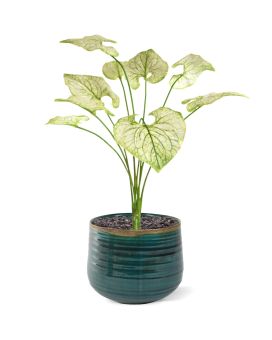 Brunnera kunstplant 55cm - creme/groen