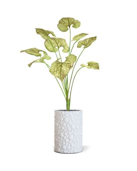 Brunnera kunstplant 55cm - groen/bruin