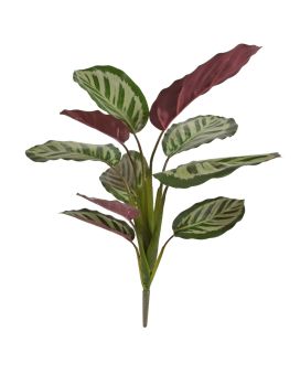 Calathea red Roseopicta bush kunstplant 45cm