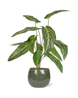 Caladium Lindenii kunstplant 50cm
