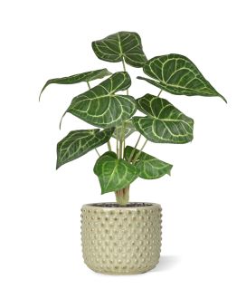 Anthurium Clarinervium kunstplant 35cm