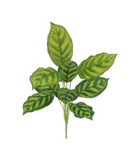 Calathea Maranta Kunstplant 40cm