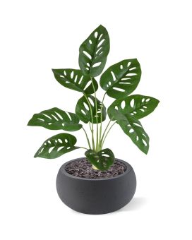 Monstera Adonsonii kunstplant 40cm