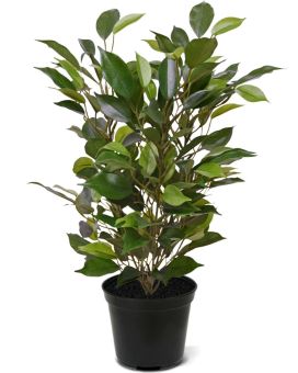 Ficus Natasja Kunstplant 40cm in 10cm pot