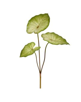 Caladium Aaron Kunstplant 60cm