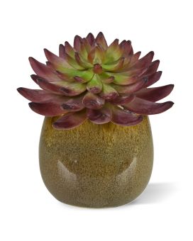 Echeveria Kunstcactus Burgundy 15cm