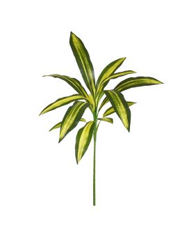 Draceana Fragrans 70cm Kunstplant Burley