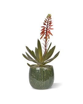 Aloe Vera Kunstplant 30cm rood