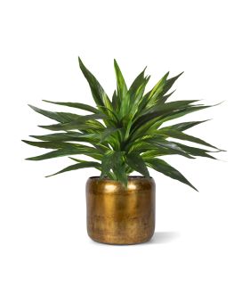 Draceana Kunstplant groen 30cm