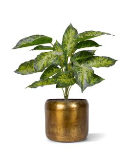 Aglaonema Kunstplant 40cm