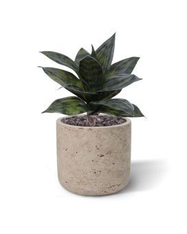 Sanseveria Kunstplant 25cm groen