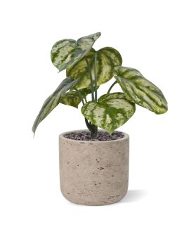 Peperomia Gold Dust kunstplant 20cm