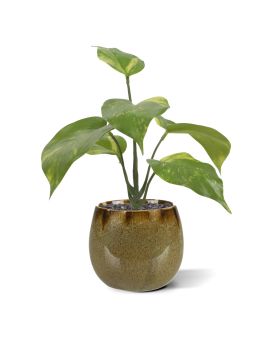 Pothos kunstplant bont 20cm