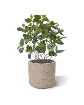 Fittonia Mont Blanc kunstplant 50cm