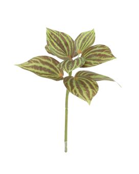Peperomia Kunstplant groen/bruin 25cm