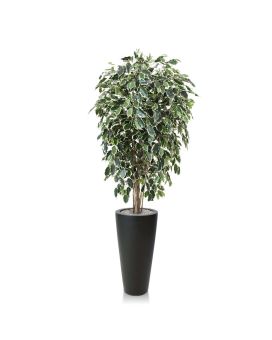 Ficus Exotica deluxe kunstboom 150cm - bont
