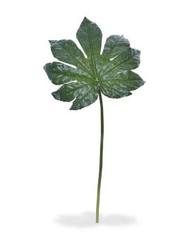 Fatsia kunstblad XL 81 cm