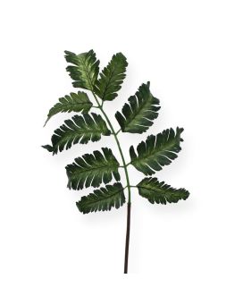 Pteris Varen blad 50 cm