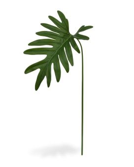 Philo Xanadu blad 55 cm