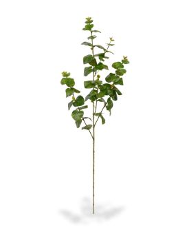 Eucalyptus kunsttak 100 cm