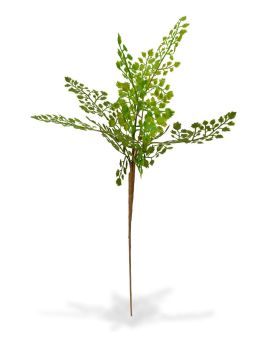 Adiantum kunsttak PL 50 cm