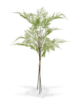 3x Asparagus kunsttak 85 cm - bundel
