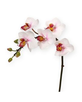 Mini Phalaenopsis kunstplant 50 cm rose