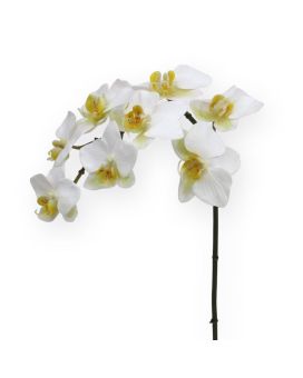 Phalaenopsis Orchidee kunstplant 80 cm wit