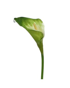 Calla kunst steelbloem 55 cm groen-wit